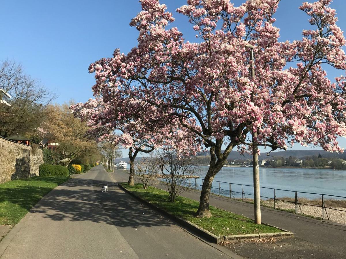 Ferienhaus Rheinperle Mit Garten In Remagen Am Rhein - Naehe Bonn Villa Kültér fotó